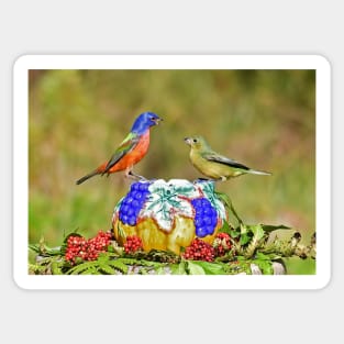 Painted Bunting Pair Birds Sticker